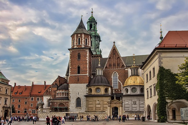 Usługi Koparko Ładowarką w Krakowie: Kompleksowe Rozwiązania dla Twojej Firmy - 1 2025